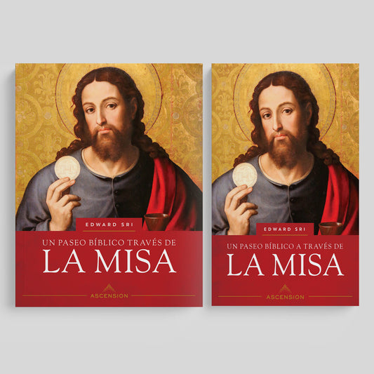 Un paseo bíblico a través de la Misa, Paquete de estudio (edición del 10th Aniversario)